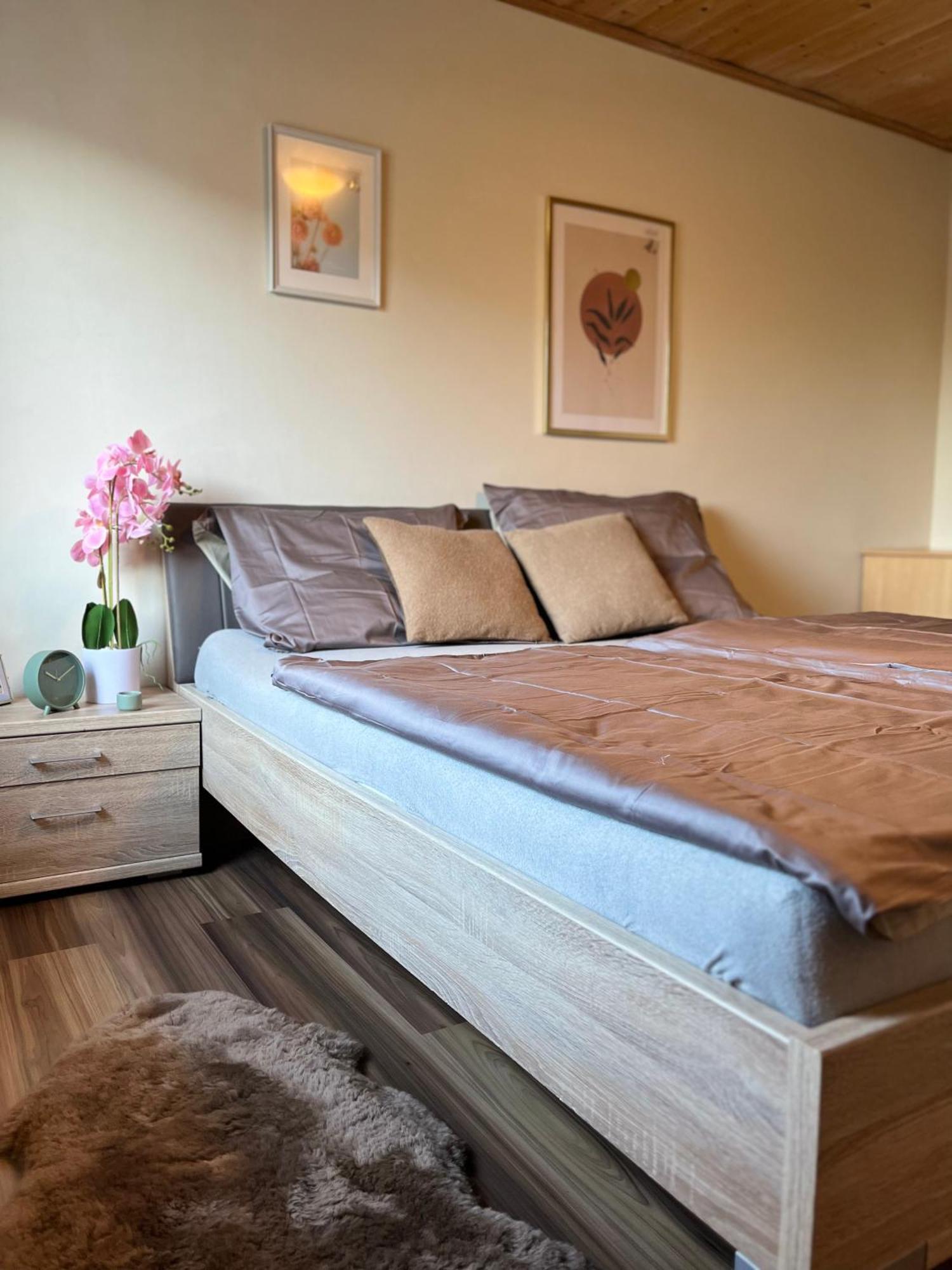 Gemuetliche Wohnung/ Cozy Apartment Niklasdorf Eksteriør billede