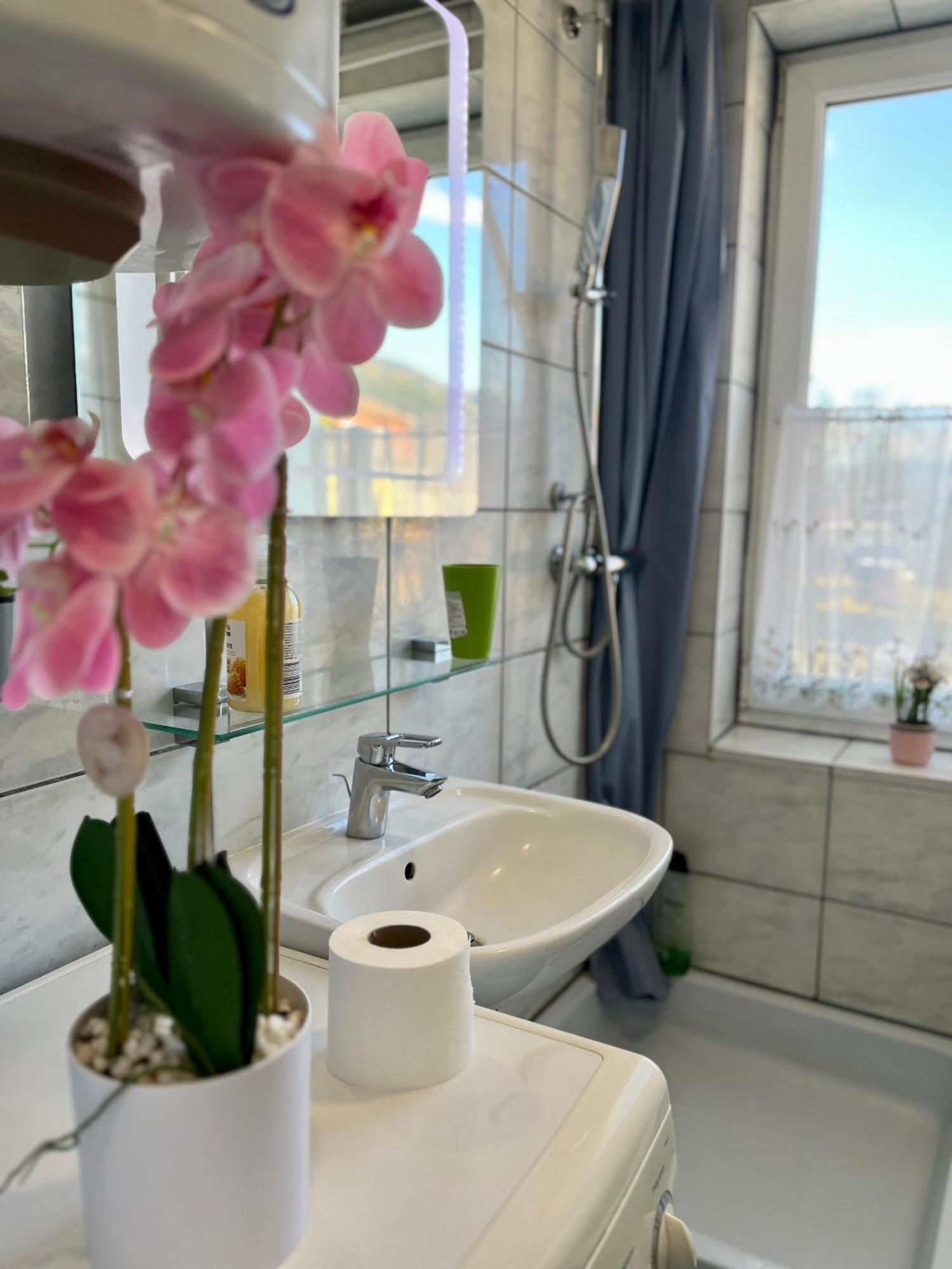 Gemuetliche Wohnung/ Cozy Apartment Niklasdorf Eksteriør billede